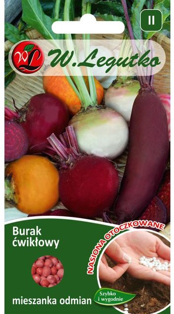 Legutko Burak ćwikłowy MIESZANKA