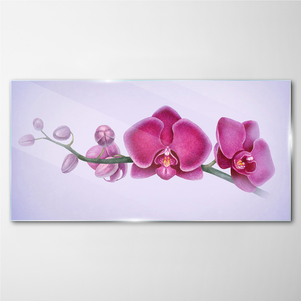 PL Coloray Obraz na Szkle Akwarela kwiat gałąź orchidea 100x50cm