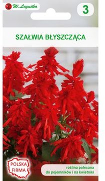 Legutko Szałwia błyszcząca CZERWONA