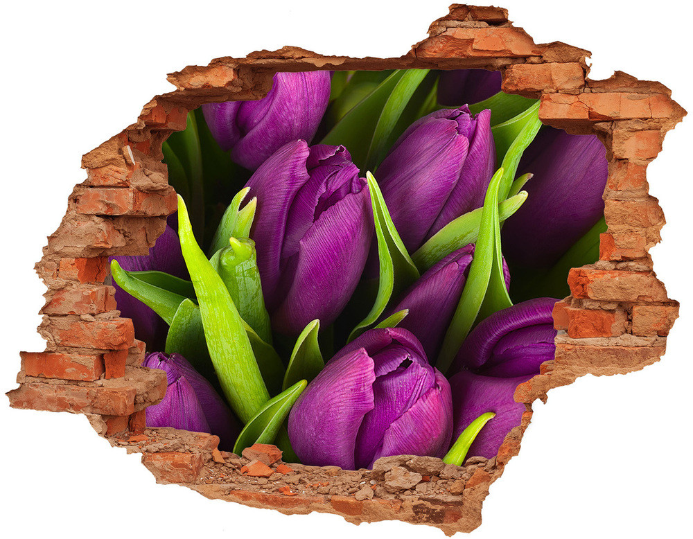 Wallmuralia.pl Samoprzylepna dziura naklejka Fioletowe tulipany