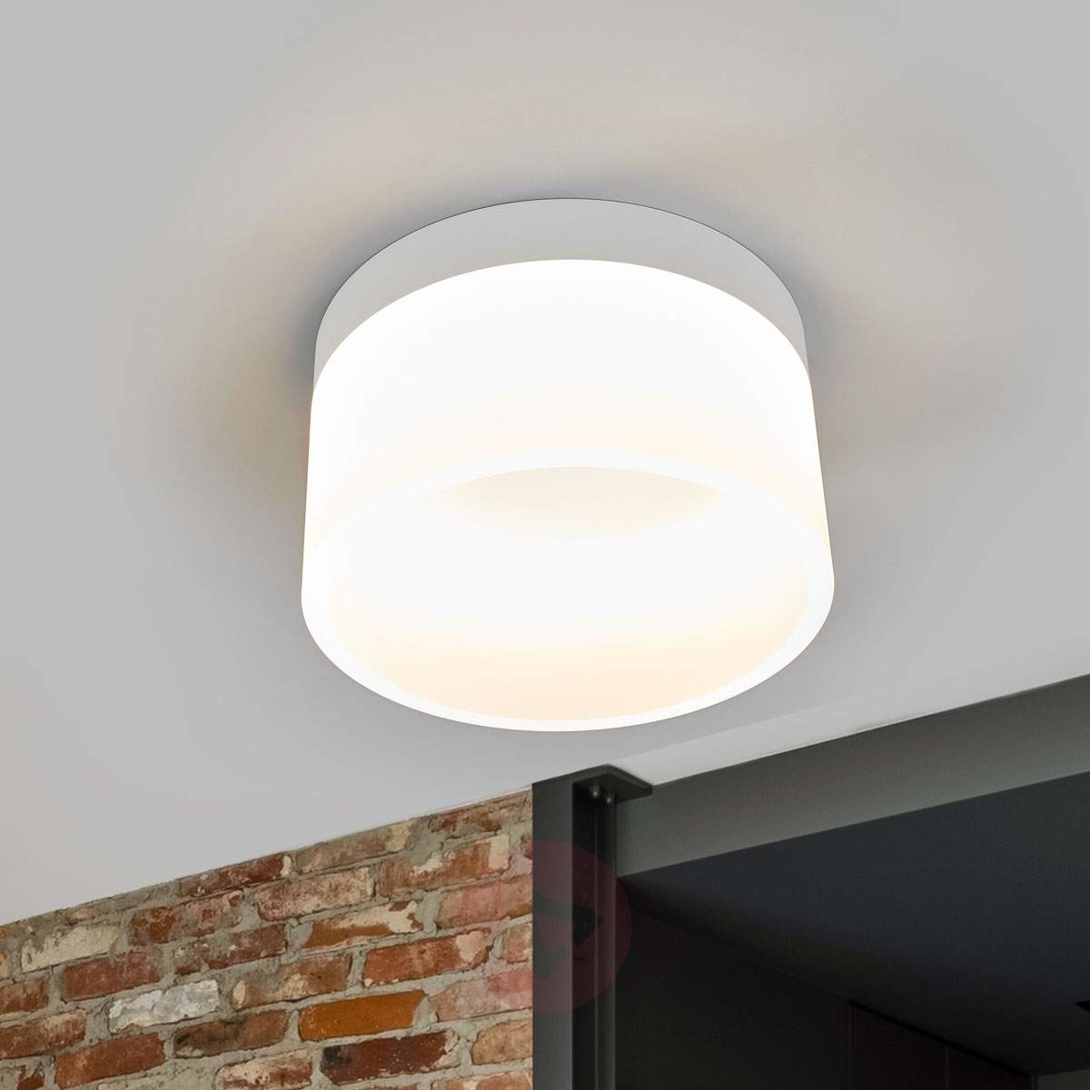 Helestra LIV lampa sufitowa LED Biały, 1-punktowy - Nowoczesny - Obszar wewnętrzny - LIV - Czas dostawy: od 4-8 dni roboczych 15/1632.07