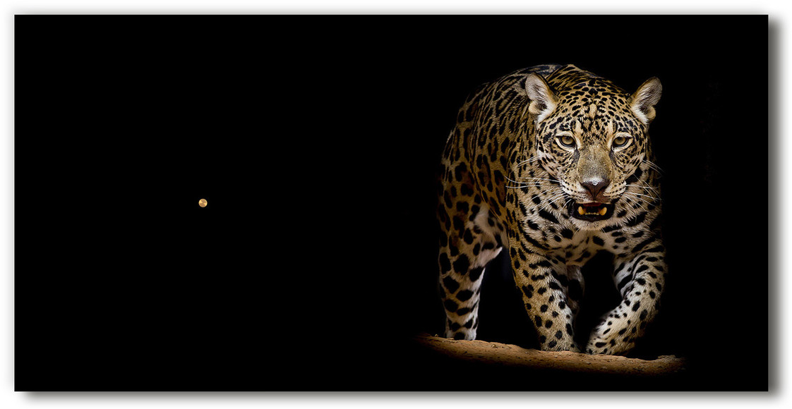 Nowoczesny zegar ścienny szklany Jaguar