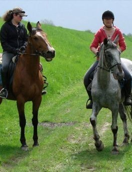 Nauka jazdy konnej dla dwóch osób  Płock P0002804