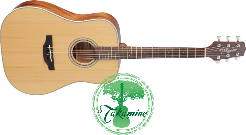 Takamine GD20-NS gitara akustyczna