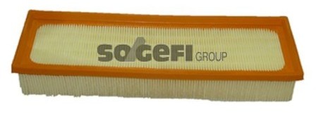 FRAM Filtr powietrza CA9314
