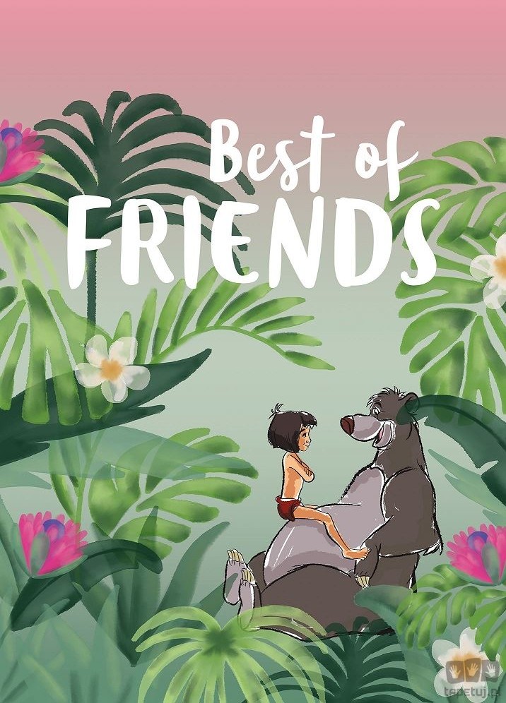 Obraz Komar Jungle Book Best of Friends WB089 WB089