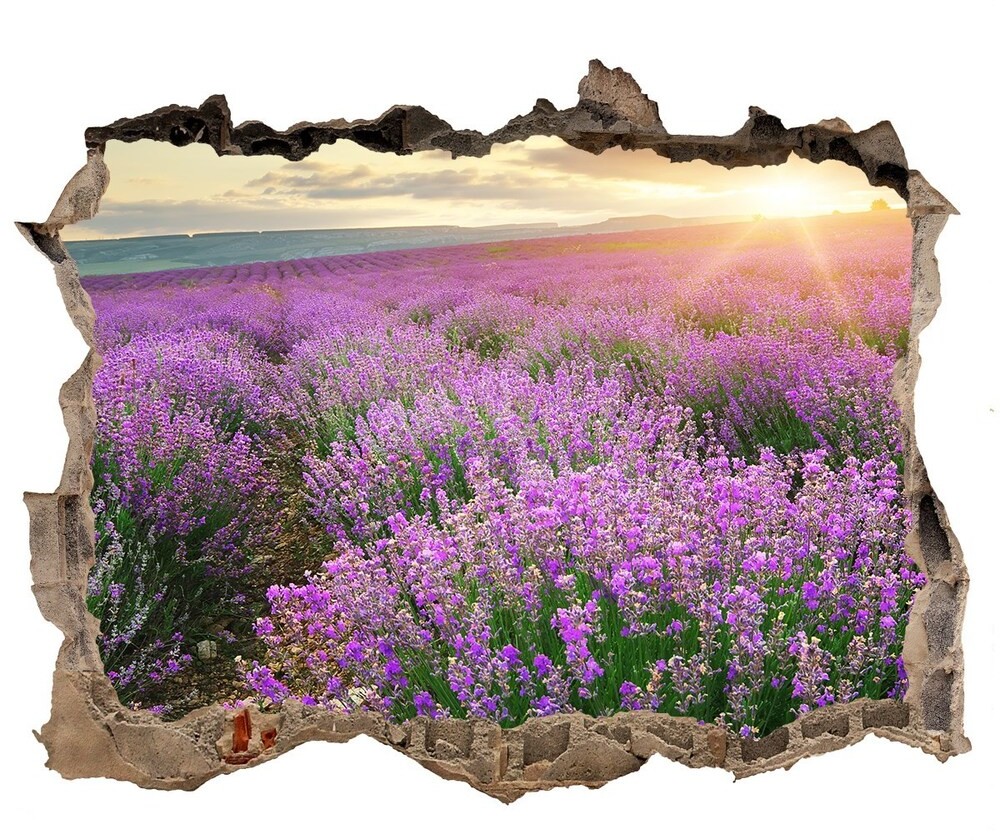 Wallmuralia.pl naklejka fototapeta 3D widok Pole lawendy