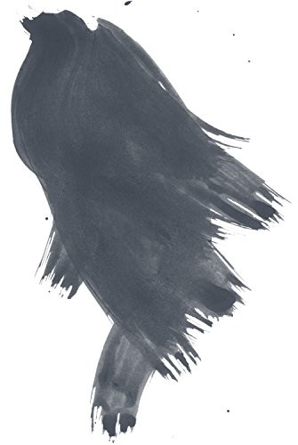 Daler Rowney FW 29,5 ML perełkami akrylowymi Liquid butelka czarny DR603201032