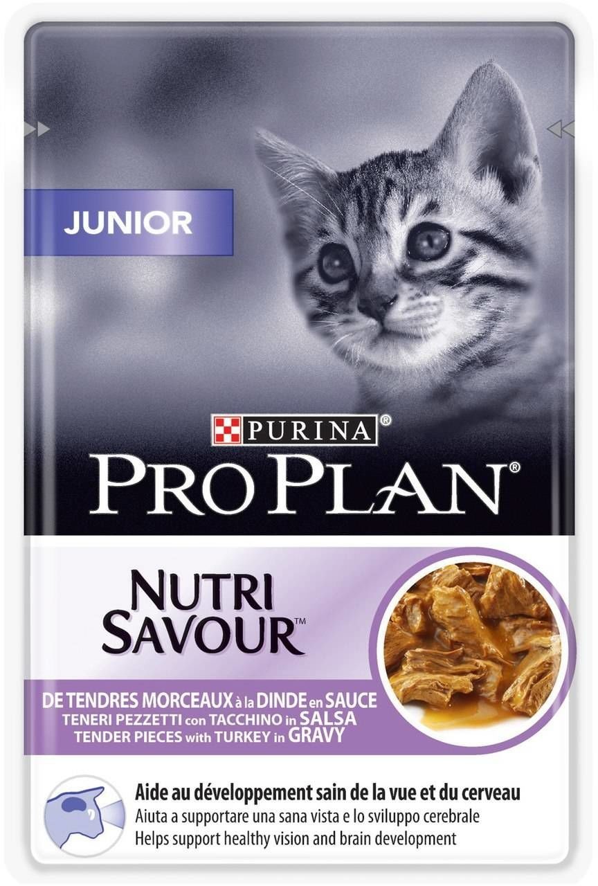 Purina Pro Plan Junior karma mokra dla kociąt 85g