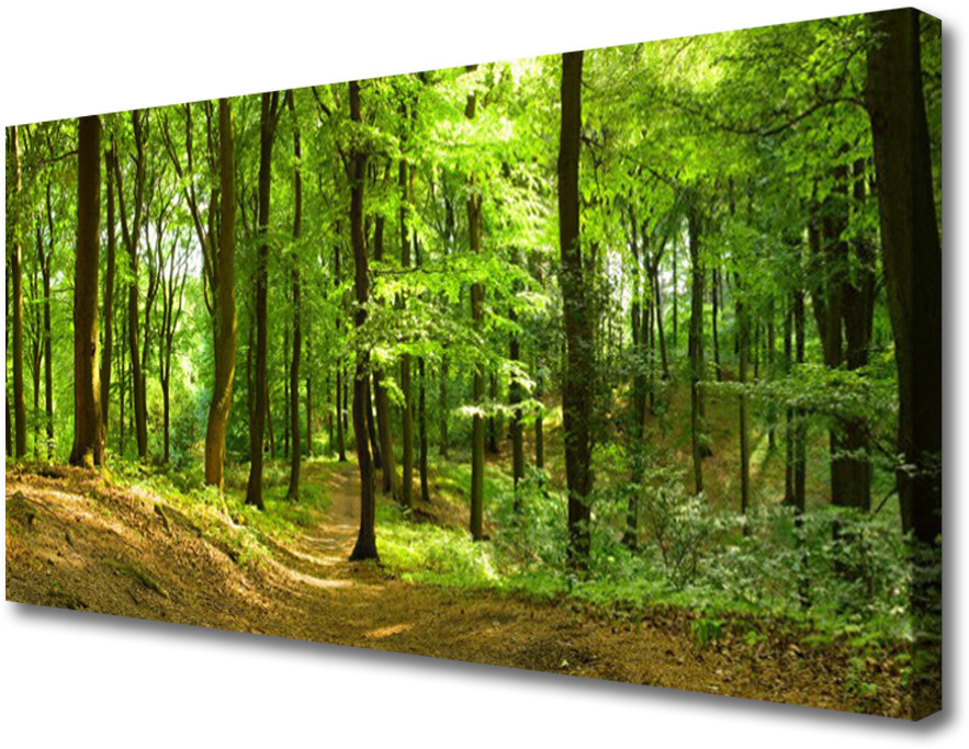 PL Tulup Obraz na Płótnie Las Ścieżka Natura 125x50cm
