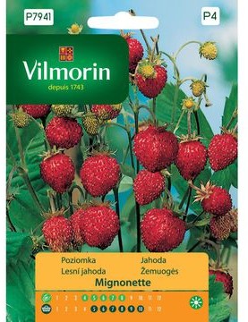 Vilmorin Nasiona poziomka Mignonette