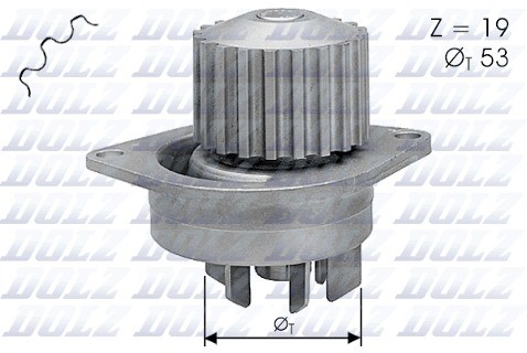 Dolz INDUSTRIAS Pompa wodna INDUSTRIAS C113