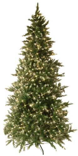 Best Season diody LED drzewko bożonarodzeniowe Vancouver około 225 x 135 cm, zielony z białym czubkami z transformatorem, 550 ciepła biel Pisello z metalową podstawą LED Outdoor 608  60 608-60