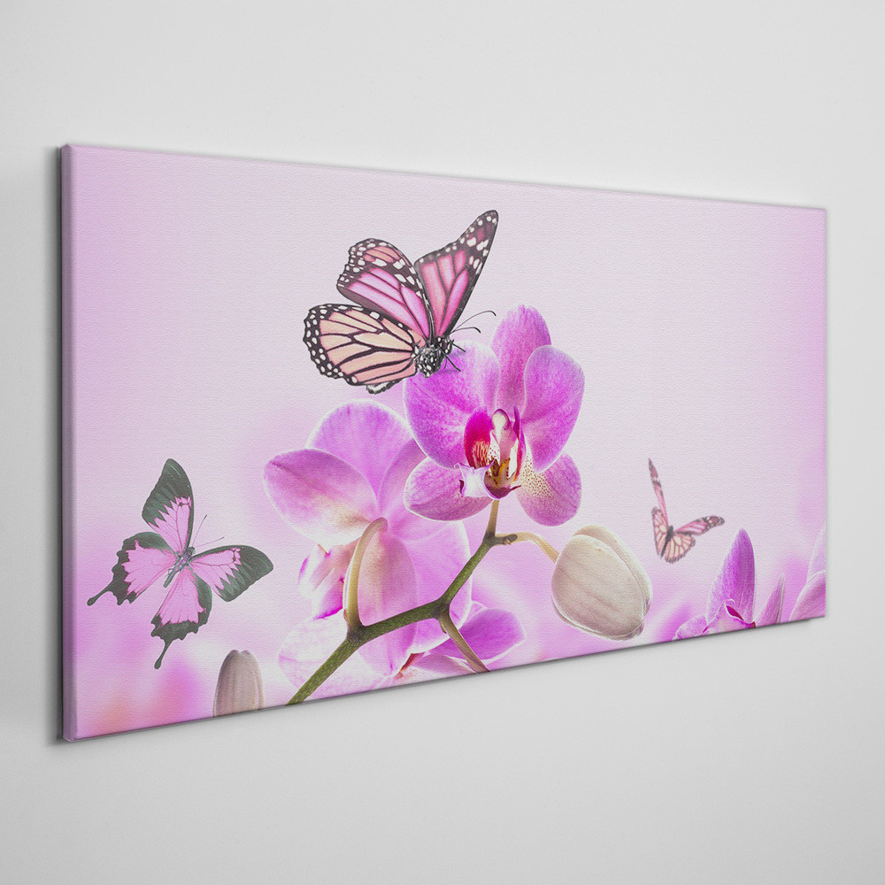 PL Coloray Obraz Canvas Kwiaty Natura Motyl 100x50cm