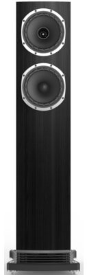 FYNE AUDIO F501