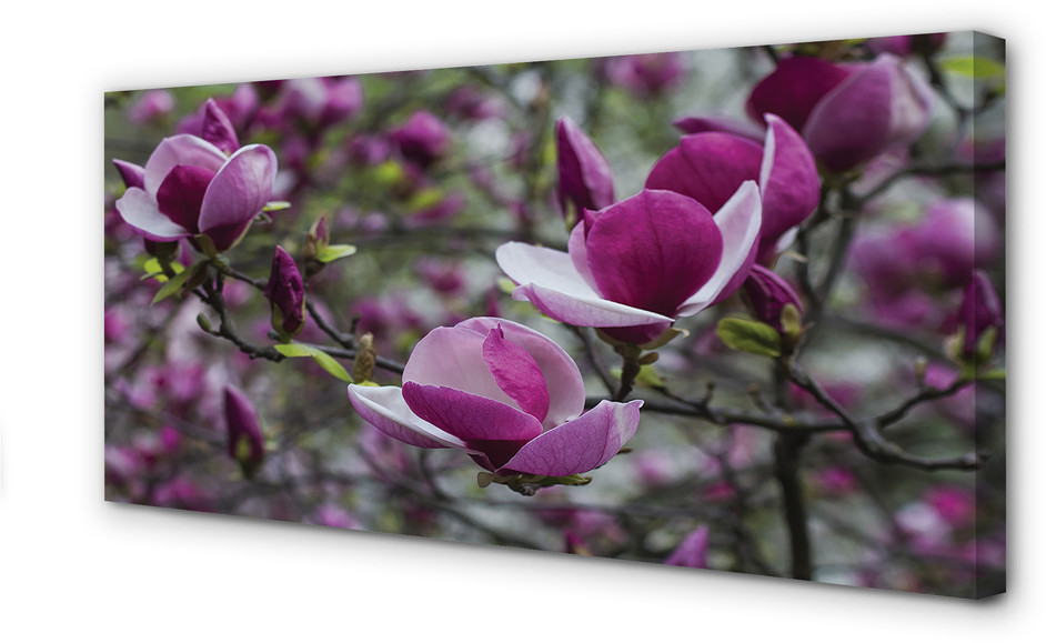 PL Tulup Obrazy na płótnie Fioletowa magnolia 125x50cm