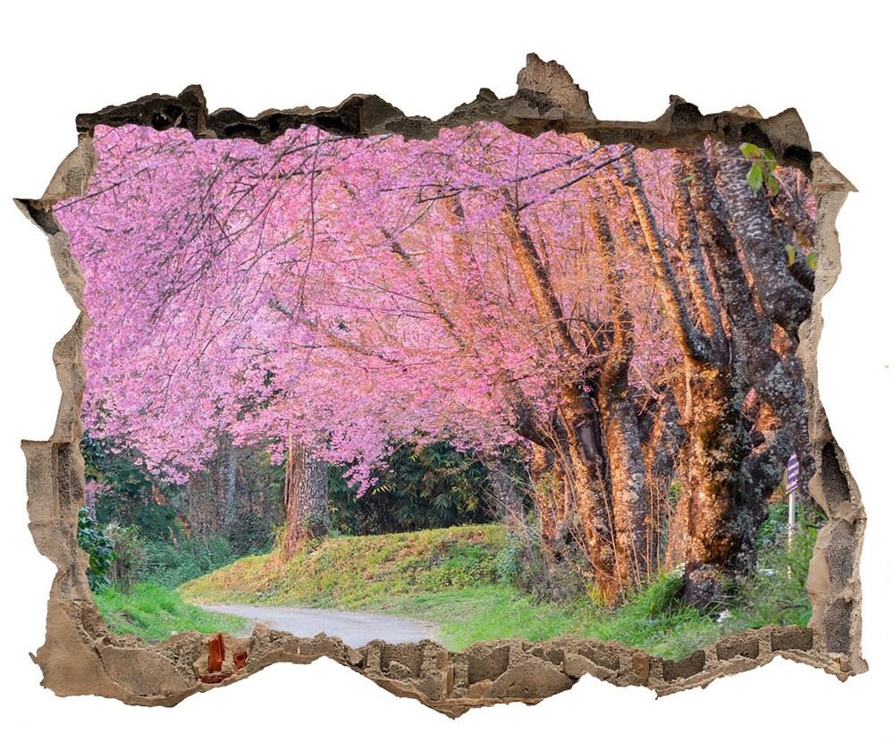 Wallmuralia.pl naklejka fototapeta 3D widok Kwiaty wiśni