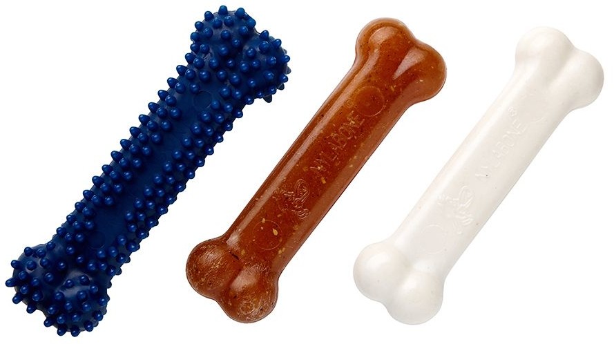 Nylabone Puppy Starter Kit Dog Chew - S