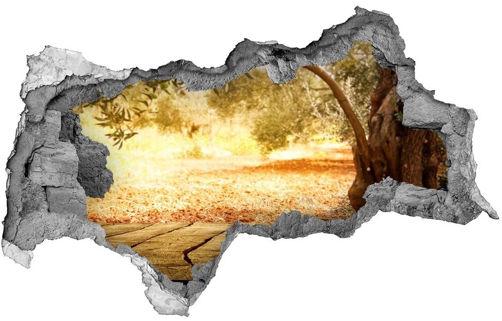 Wallmuralia.pl naklejka fototapeta 3D widok Drzewo oliwne