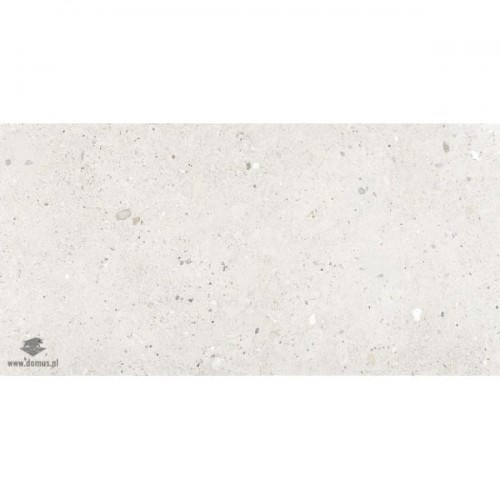 Provenza Ego Avorio Nat. Rett. 60x120 Ego_Avorio