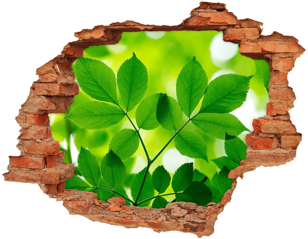 Wallmuralia.pl Samoprzylepna dziura naklejka Zielone liście