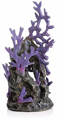 Oase OASE biorb rafa koralowa ornament, liliowy, liliowy 46131.0