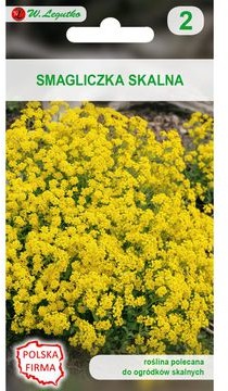 Legutko Smagliczka skalna ŻOLTA