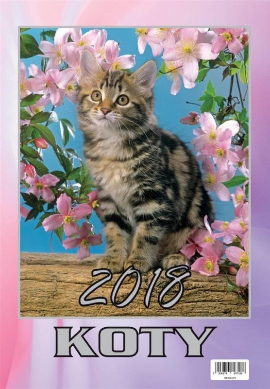 Beskidy Kalendarz 2018 Wieloplanszowy Koty