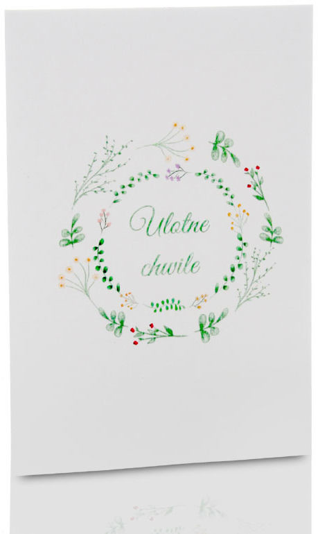 NA Mini-Album TS Ulotne chwile dwa zdjęcia 13x18
