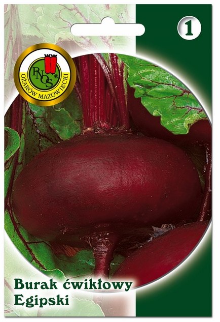 Nasiona burak ćwikłowy egipski PNE