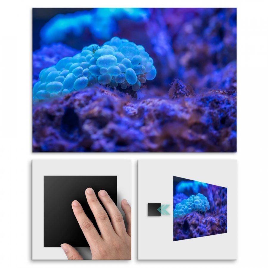 Pix4home Plakat metalowy piękno głebin L POS-L-01186