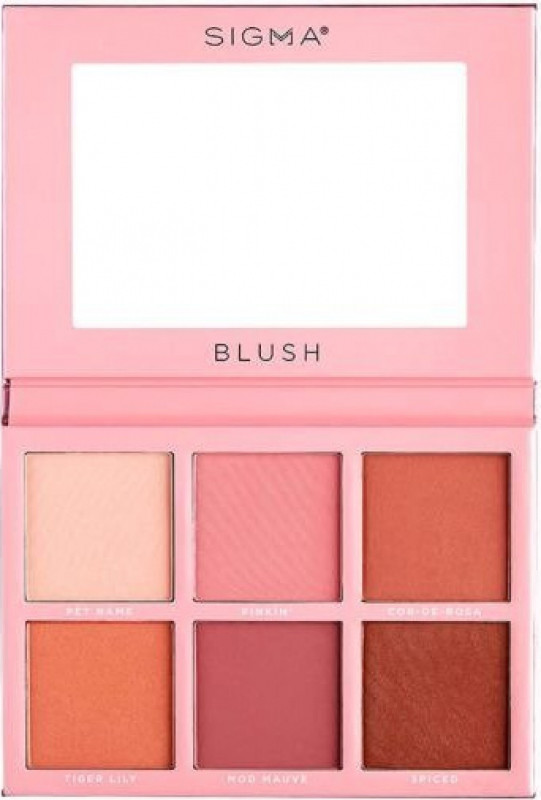 Sigma BLUSH CHEEK PALETTE - Paleta 6 róży do twarzy SIGBP6DTW