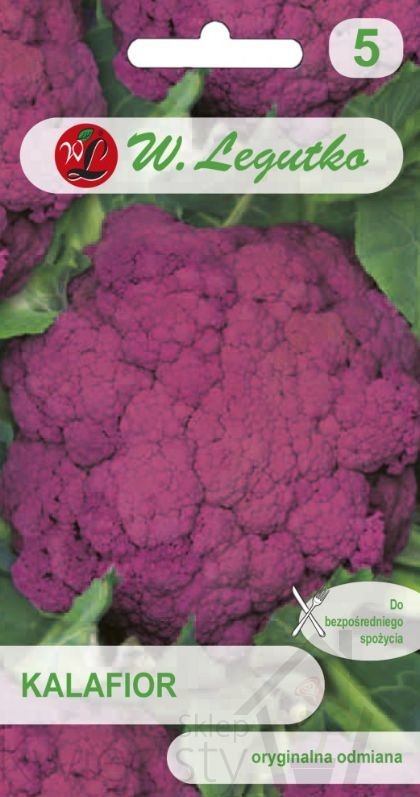Legutko sp. z o.o Nasiona Kalafior Di Sicilia violetto, fioletowy