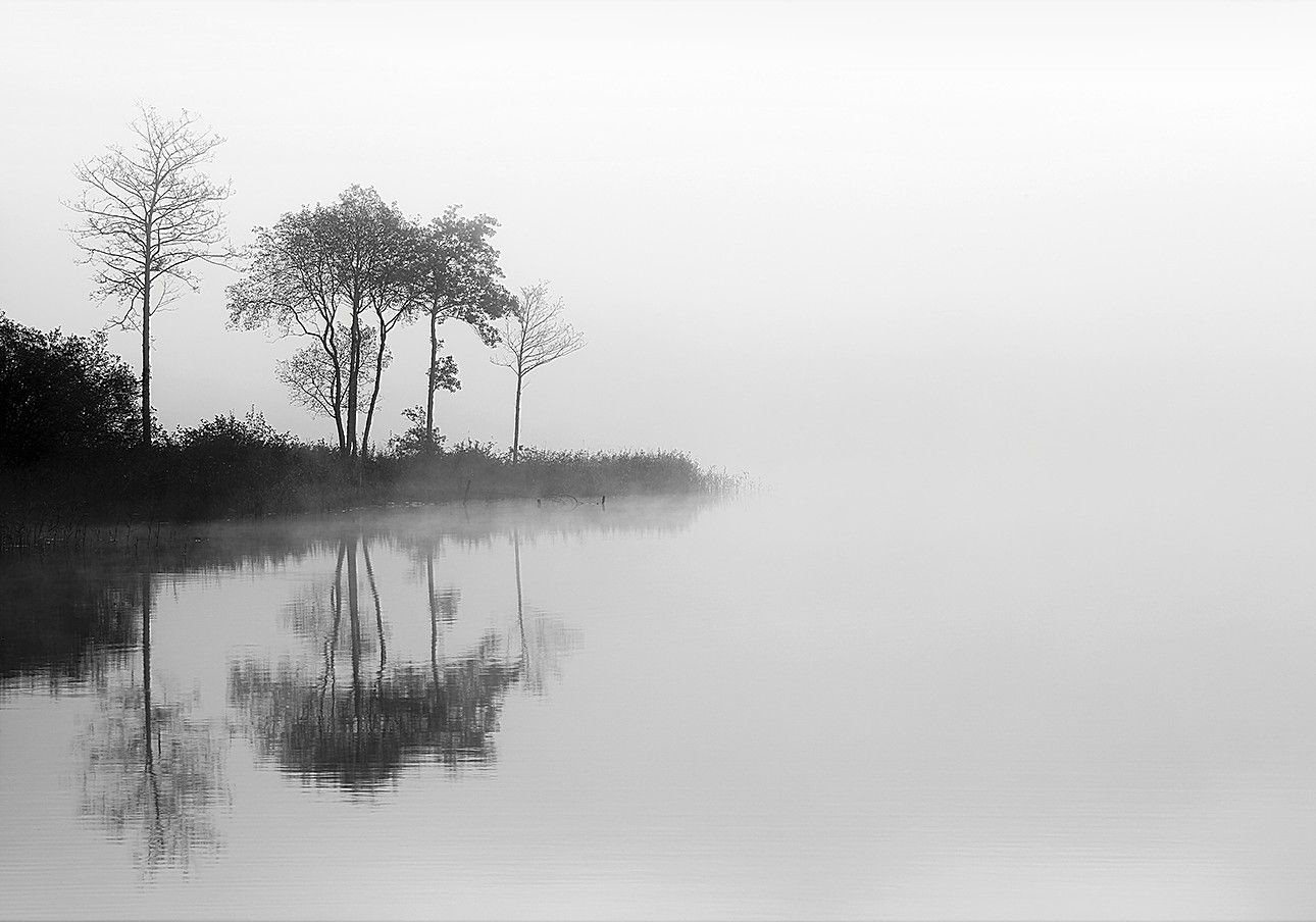 Dekoria Obraz na płótnie By the Lake I 50 x 35 cm 188-000-17