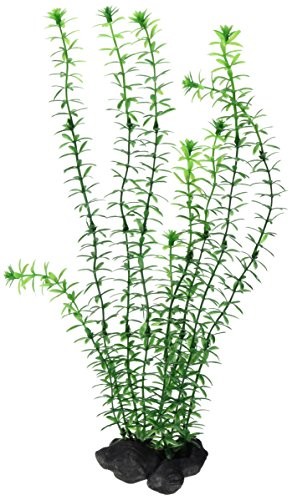 Tetra TETRA Deco Rodzaj Plant anacharis, roślina Sztuczne Aquarium roślin, prawdziwa jakość druku pod wodą, zielony, l, zielony 270503