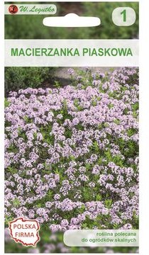 Legutko Macierzanka piaskowa ROZOWA