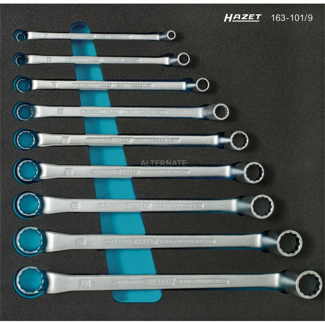 Hazet 163-101/9, Zestaw narzędzi
