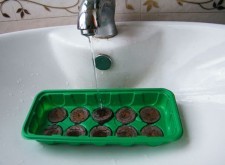 GardenPlus+ Zestaw do kiełkowania EDA8556