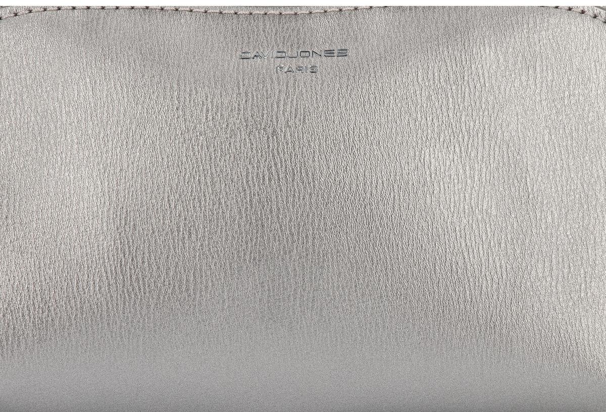 David Jones Uniwersalne Kosmetyczki Damskie Organizery w rozmiarze S firmy Srebrna (kolory) CM3601Ssr