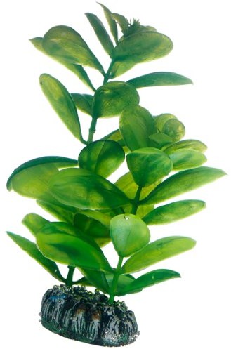 Hobby saururus, 16 cm