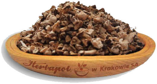 Herbapol KRAKÓW Mniszek lekarski herbatka ziołowa korzeń 50 g