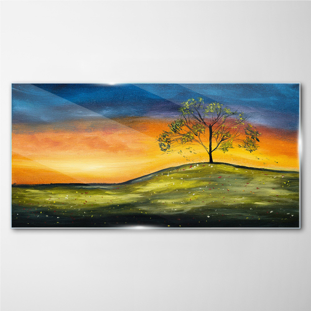 PL Coloray Obraz na Szkle łąka niebo zachód słońca 100x50cm