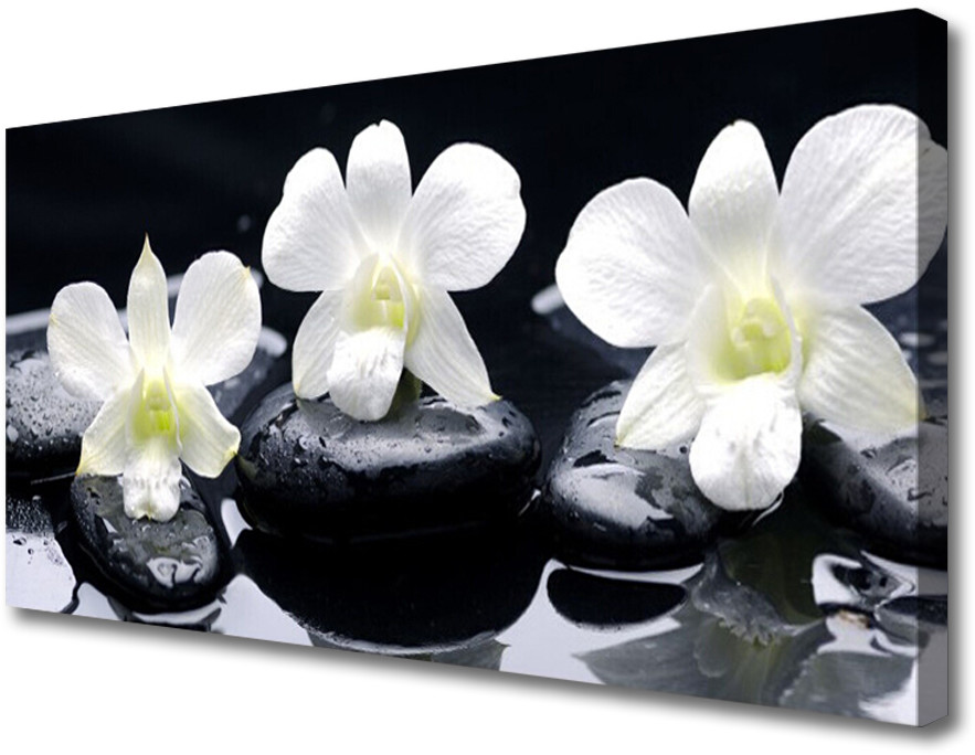 PL Tulup Obraz na Płótnie Orchidea Kamienie Roślina 140x70cm