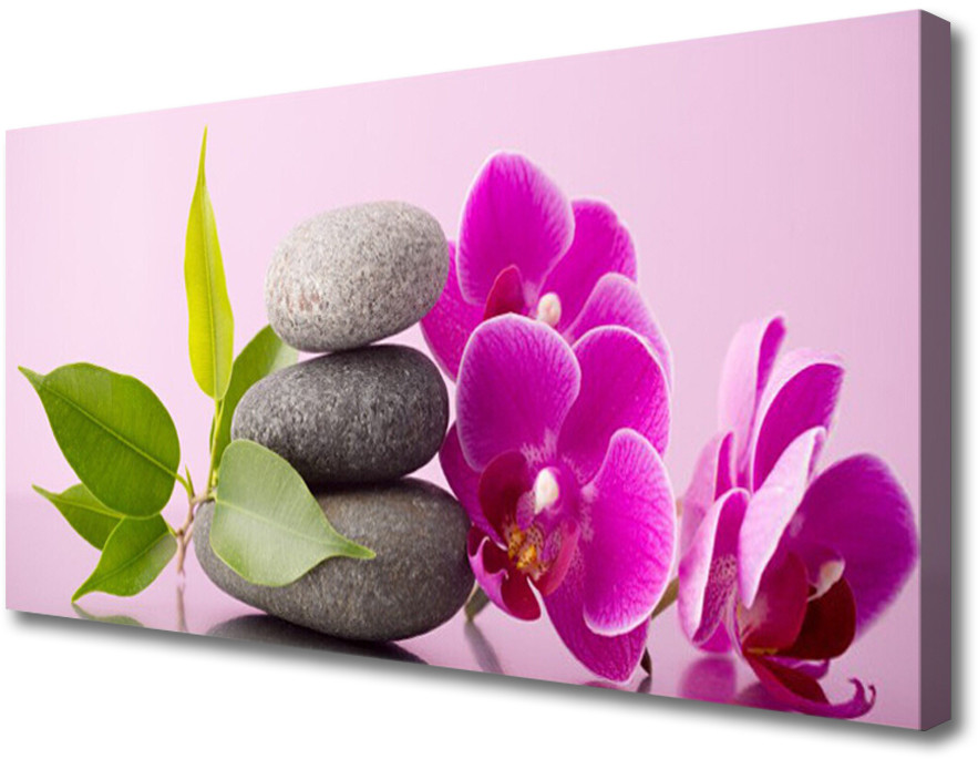 PL Tulup Obraz Canvas Orchidea Storczyk Kwiaty 100x50cm