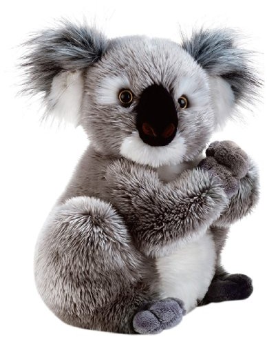 Plush & Company Plush & Company 05932 Company Koline koala pluszowa zabawka, 22 cm, wielokolorowa Plush & Company_05932