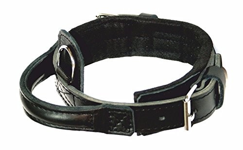 Dingo Gear heros paskiem na szyję, z czarnym skórzanym uchwytem