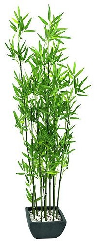 EUROPALMS Euro Palms 82509261 ozdobna z bambusa w misa dekoracyjna, 120 cm