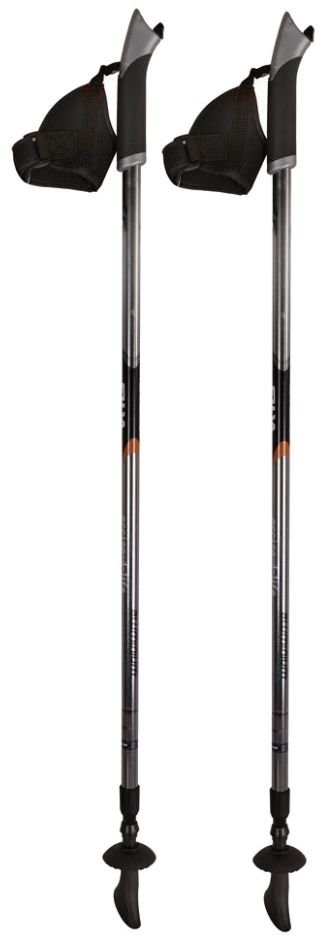 Nordic walking