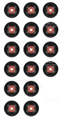 REINZ Zestaw uszczelniaczy, trzonek zaworu 12-34406-01