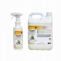 Dolphin Green Tea 0,75l